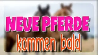 DIESE NEUEN PFERDE KOMMEN BALD 🧡 NEUE PFERDERASSE 🐴 | Star Stable [SSO]
