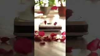 С первым Днем Весны!