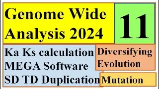 Ka ks values calculation through #MEGA Genome wide study 2024 Part 11