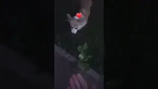 Мило❤️
