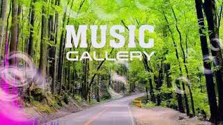 Alimar - Nature (vlog no copyright music)
