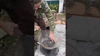 Быстро просеять семечки от шелухи