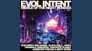 Middle Of The Night (Bro Safari Remix)