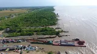 Eroding mangrove belt at Khanh Hoi, T29.2, Ca Mau (15/01/2018)