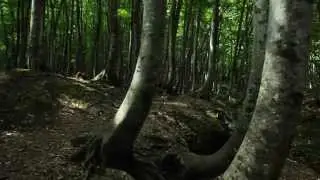 KLANGGEBET - Gaia: Musikalische Meditationen