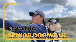 Come on a walk with us! #SeniorDogWalk #DogVlog #Dog