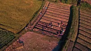 NGLUYU NGANJUK AERIAL FOOTAGE DJI SPARK