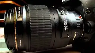 Canon 100mm Macro update - Photography Talk