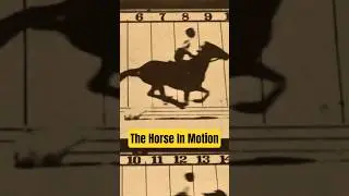 Eadweard Muybridge: The Horse in Motion 1878 and the Zoopraxiscope Early Cinema 