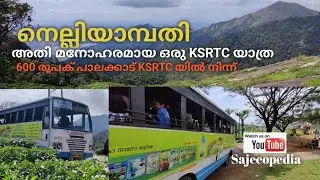 ആന വണ്ടിയിൽ നെല്ലിയാമ്പതി യാത്ര കണ്ടിട്ടുണ്ടോ?°° ഒറ്റകൊമ്പനെ കണ്ടു KSRTC ചെയ്തത്😲😲