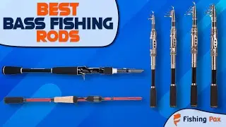 Best Bass Fishing Rods (Catch More Bass With These Rods!)