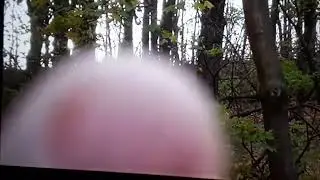 ALABAMA BIGFOOT....THE HILLBILLY JIM VIDEO