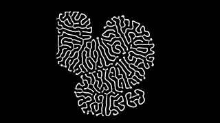 Reaction Diffusion | Generative Art | Web Demo
