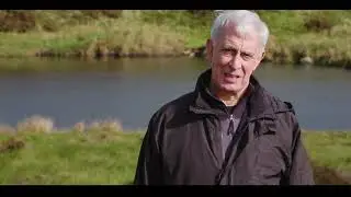 The Blake Mere Mermaid