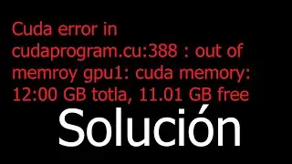 Cuda error in cudaprogram.cu:388 : out of memroy gpu1: cuda memory: 