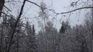 Монгольское нашествие на Древнюю Русь