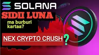 Solana Crush ma ku dhici karaa sidii Luna? Next crush