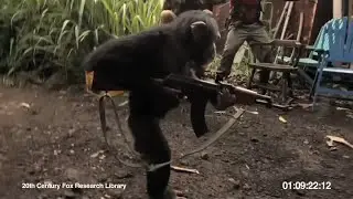 RARE FOOTAGE OF A MONKE USING AK-47