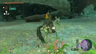 How to find Skeleton Horses in Zelda: Tears of the Kingdom | Stalhorse Location