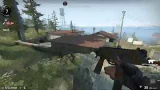 halo bijadzie