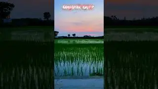 Beauty of Village 😍🌄 #vlog #shorts #shortvideo