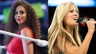 Why is SAMANTHA IRVIN getting hate from fans? #wwe #samanthairvin #viral