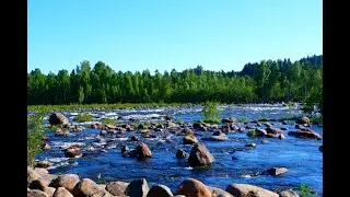 Умео  История  (Швеция)