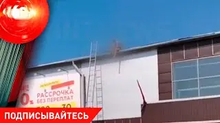 ПЕНСИОНЕРКА зарезала мужчину; голые танцы, голый спринтер и обнаженка в кафе / Криминал 24.05.2024