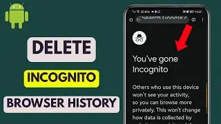 How To Delete Incognito Browsing History In Chrome