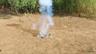 Green Coconut vs Sutli Bomb