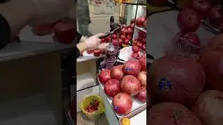 соковыжималка Cancan