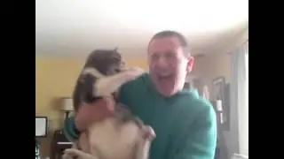 Vine: Селфи с котом