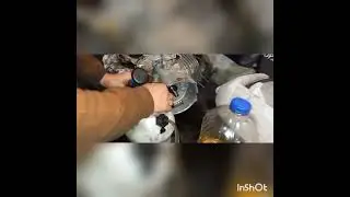Новый китайский генератор, бракованный шатун, последствия.