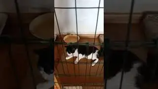 Вера после уколов