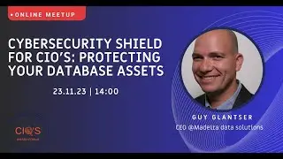 Cybersecurity Shield for CIO’s  Protecting Your Database Assets