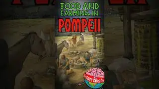 Food and Farming in Ancient Pompeii