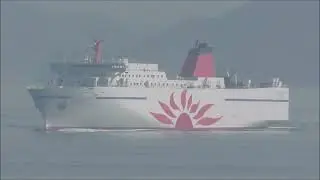 常石から出て来て因島大橋へ向かう「さんふらわあ だいせつ」　令和7年4月9日
