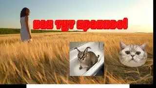 2 анимация