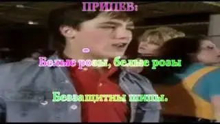 Караоке  БЕЛЫЕ РОЗЫ Ласковый май