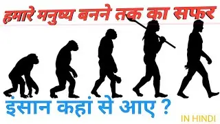 Evolution of Human (PART 3)