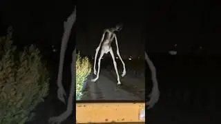 КТО ТАКОЙ ЖЕРДЯЙ? Кратко о Жердяе. 