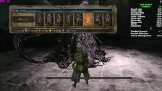 Nashandra Glitch