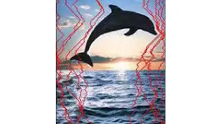 Seam-Carving | Context-aware image resizing | Dynamic Programming | python