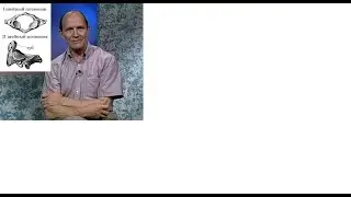 1 и 2 шейные позвонки(Атлант и Аксис) .Разбор с профессором Робертом Акландом.