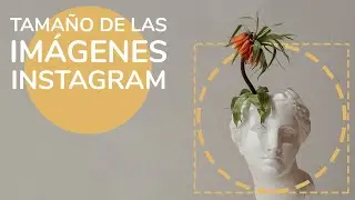 ✅Tamaño fotos Instagram ✅ Todas las medidas OFICIALES para fotos, vídeos, stories...