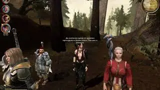 Dragon Age Origins. Морриган и Винн