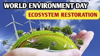 World Environment Day ll World Environment Day Theme and Objective 2021