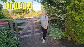 Скоро возьмем ОГОРОД / Приехали все наши вещи. Разбираем