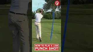 This is how you play a low punch shot in golf #shorts