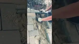 7 сентября 2024 г.